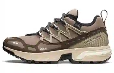 SALOMON ACS + CSWP