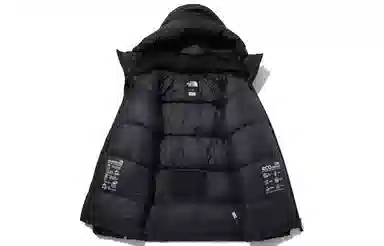 The North Face GTX