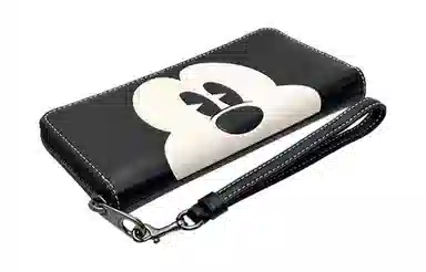 COACH x Disney Zip Around 19