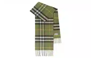 Burberry Check Tassel Scarf Kids Green