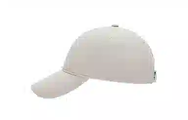 Champion CV