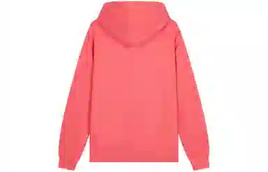 Champion Legacy Hoodie