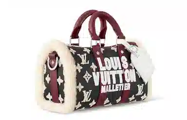 Louis Vuitton Keepall 25