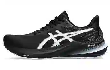 Asics GT-2000 12