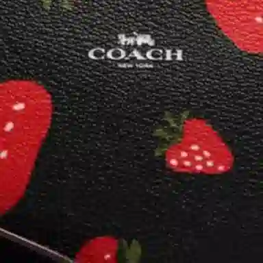 COACH Corner Zip 16