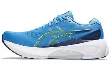 Asics Gel-Kayano 30 Blue