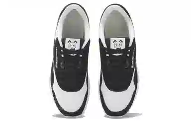 Reebok Classic Nylon "Accountable Ant"