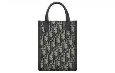 Dior Safari North-South Mini