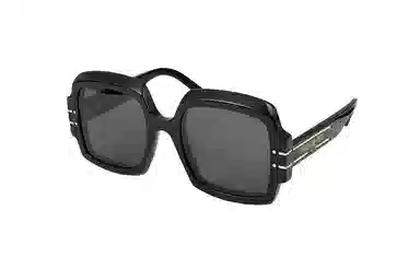 DIOR DIORSIGNATURE S1U