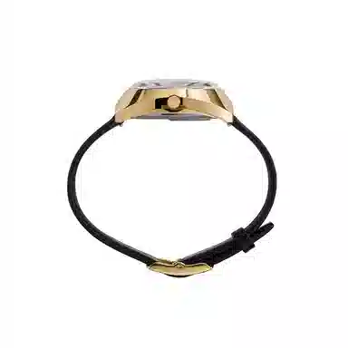 TIMEX Q 50 TW2V25400