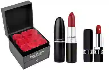 MAC 543544549 316 602
