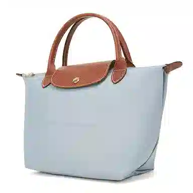 LONGCHAMP Le Pliage 23
