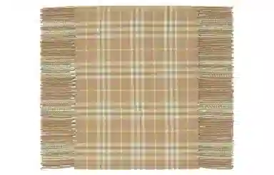 Burberry Scarf Brown