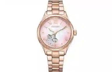 CITIZEN PC1017-70Y