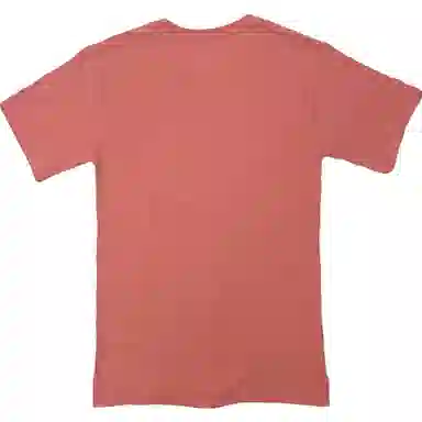 Champion T