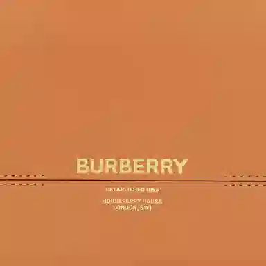Burberry Crossbody Bag Brown