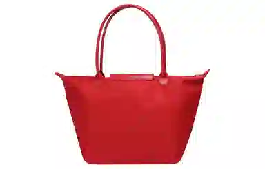 LONGCHAMP Le Pliage Green 31 Logo