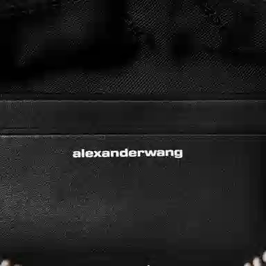 alexander wang heiress
