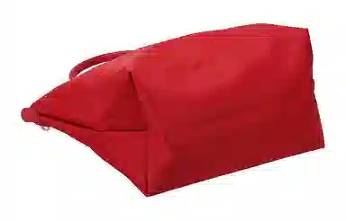 LONGCHAMP Le Pliage Green 31 Logo