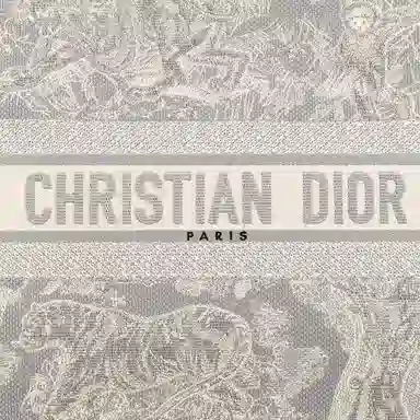 DIOR BookTote Tote