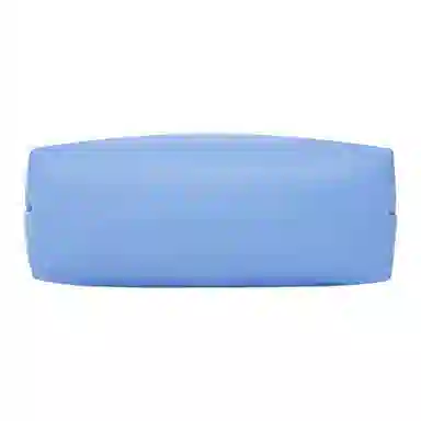 LONGCHAMP Le Pliage Green Cornflower