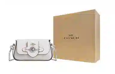COACH Brie Mini 15