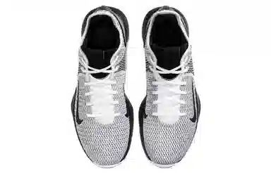 Nike Witness 4 LeBron EP