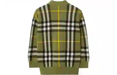Burberry FW23 V