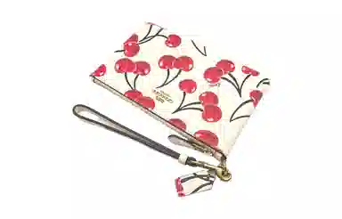 COACH Wristlet 19