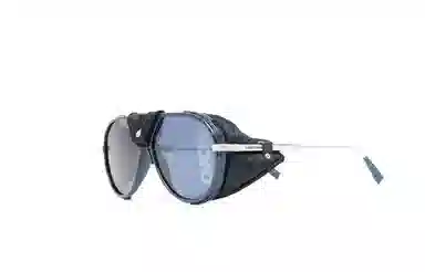 DIOR logo