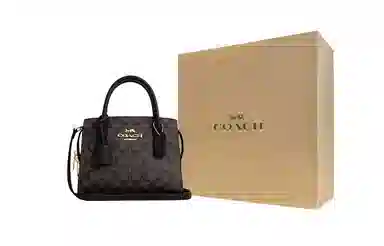 COACH ANDREA CARRYALL 22 Tote