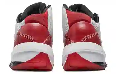 Jordan Air Jordan 2010 Mid Retro