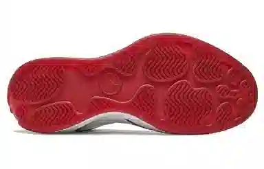 Jordan Air Jordan 2010 Mid Retro