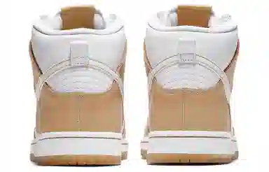 Premier x Nike Dunk SB