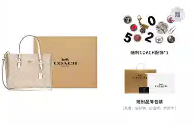 COACH Mollie 25 Tote