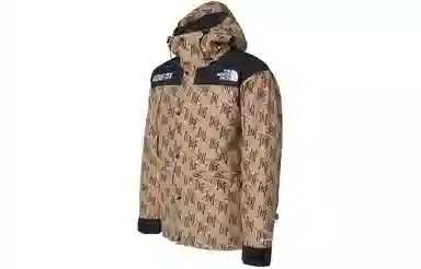 The North Face GORETEX600 Almond