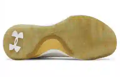 Under Armour Curry 1 Low Championship