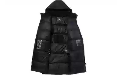THE NORTH FACE Logo