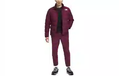 THE NORTH FACE Mountain Light Triclimate Logo