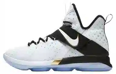 Nike Lebron 14