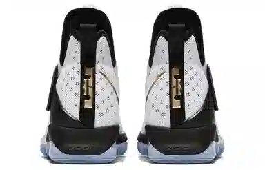 Nike Lebron 14