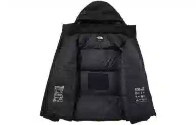 The North Face Aspen Tech Down Jacket