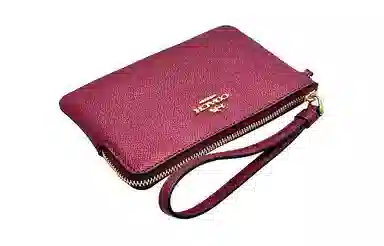 COACH Corner Zip 16