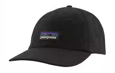 patagonia Logo