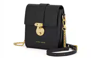 辛瓦伊·克洛斯 秋冬百搭通勤高级感轻便 牛皮 单肩包链条斜挎包手机包 常规 女款 黑色拼米白