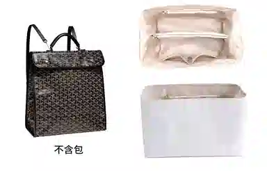 goyard hobo