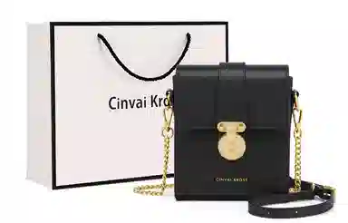 辛瓦伊·克洛斯 秋冬百搭通勤高级感轻便 牛皮 单肩包链条斜挎包手机包 常规 女款 黑色拼米白