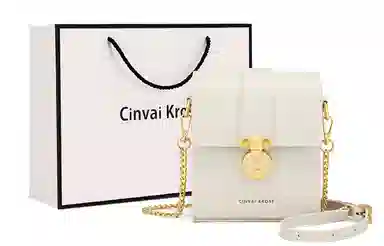 辛瓦伊·克洛斯 秋冬百搭通勤高级感轻便 牛皮 单肩包链条斜挎包手机包 常规 女款 黑色拼米白