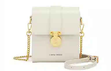 辛瓦伊·克洛斯 秋冬百搭通勤高级感轻便 牛皮 单肩包链条斜挎包手机包 常规 女款 黑色拼米白