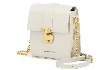 辛瓦伊·克洛斯 秋冬百搭通勤高级感轻便 牛皮 单肩包链条斜挎包手机包 常规 女款 黑色拼米白